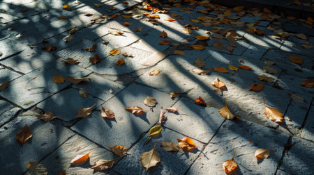 Abstract shadows of leaves dancing on a sunlit sidewalk in a park.の素材