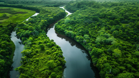 A scenic river winding through a lush green forest, reflections of trees in the waterの素材