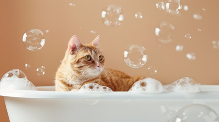 A cat sitting in a bathtub with soapy bubbles and a content expressionの素材