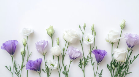 Beautiful arrangement of white and purple eustoma flowers on a white background, with a serene and elegant presentation.の素材