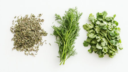 A detailed view of fresh herbs like cilantro and dill alongside dried herbs like rosemary and sage on a white background.の素材