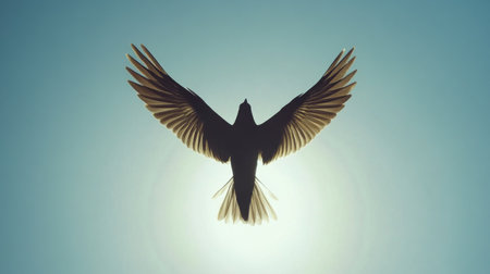 A bird in flight, captured from below, with its wings spread wide against a bright, cloudless sky.の素材