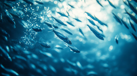 A close-up of a school of small fish swimming together, with their scales shimmering in the light, capturing the beauty of underwater life.の素材