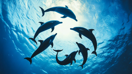 A group of dolphins forming a circle and diving together, with their silhouettes visible against the bright blue backdrop of the oceanの素材
