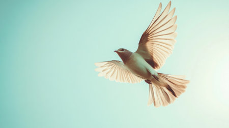 Side view of a bird soaring close to the camera, with its wings spread wide and feathers clearly visible against a clear, blue sky.の素材
