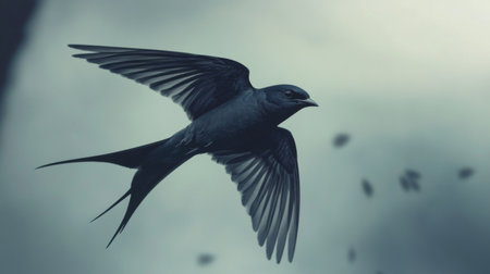 A detailed image of a swallow darting through the sky, with its sleek body and swift movements captured against a slightly overcast sky, highlighting its agile flight.の素材