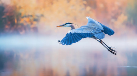 A graceful heron in mid-flight, with its long legs extended and wings outstretched, captured close-up as it moves across a tranquil lake with a serene, natural backdrop.の素材