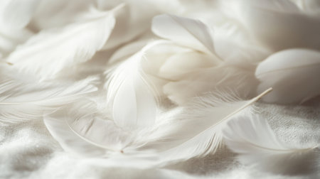 A close-up of delicate white feathers scattered gently across a soft surface, with natural light highlighting their fine details.の素材