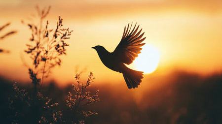 A serene photo of a bird flying close to a sunset or sunrise, with warm, golden hues highlighting the silhouette of the bird and creating a peaceful atmosphere.の素材