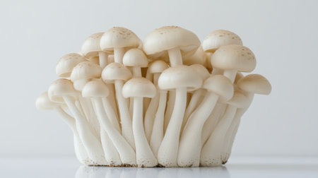 A side view of Shimeji mushrooms, beautifully arranged on a white surface, showcasing their elegant shapes and natural tones in a simple setting.の素材