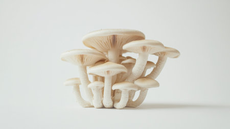 A small group of Shimeji mushrooms slightly leaning on each other against a white background, creating a sense of organic connection and harmony.の素材