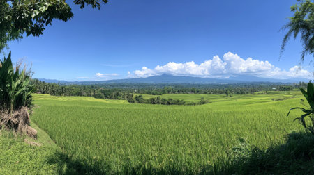 A serene vista showcasing a lush green paddy field under a clear blue sky. The harmonious landscape is enhanced by distant mountains and fluffy white clouds.の素材