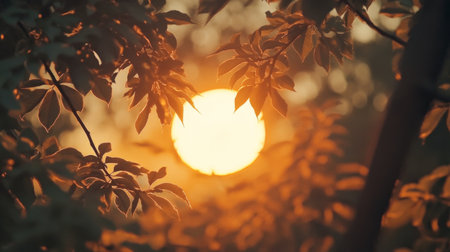 A stunning view of a golden sunset filtered through lush leaves, creating a warm and tranquil atmosphere in a serene outdoor setting.の素材