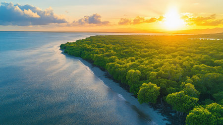 Experience the breathtaking beauty of a vibrant mangrove forest at sunset, with golden light shimmering on the tranquil waters, perfect for nature lovers and travelers.の素材