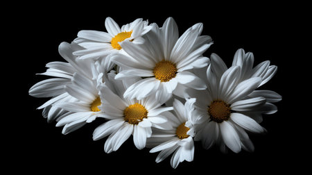 A captivating image of a cluster of daisies with bright white petals and a sunny yellow center, highlighting their simple and cheerful beauty.の素材