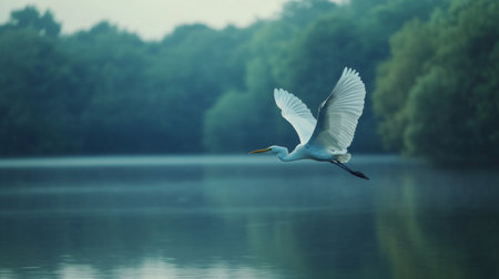 A stunning white egret gracefully flies over a serene lake, surrounded by lush green trees. The tranquil scene captures the essence of nature's beauty and harmony.の素材