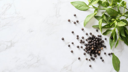A top-down view of a fresh peppercorn plant with black peppercorns on a white countertop, showcasing the raw ingredient used in various cuisines.の素材
