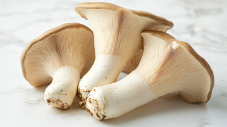 A group of raw king oyster mushrooms laying flat on a white surface, with their natural textures and subtle color variations displayed in detail.の素材