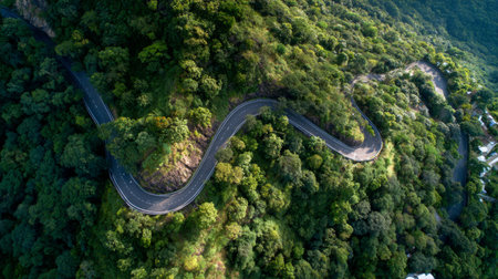 A stunning aerial shot of a winding road surrounded by vibrant green trees and hills, creating a perfect backdrop for nature lovers and travelers seeking adventure.の素材