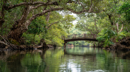 Explore a peaceful river scene featuring a wooden bridge embraced by lush greenery. This tranquil environment reflects serenity and natural beauty, perfect for relaxation.の素材