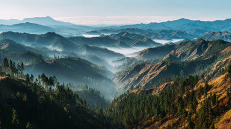 A breathtaking view of misty mountains showcases majestic peaks and lush forests, illuminated by early morning light, creating a tranquil and serene atmosphere.の素材