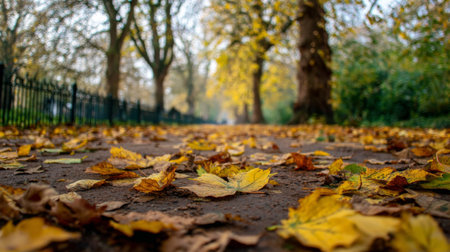 A serene view of a pathway covered in vibrant autumn leaves. The golden and brown foliage creates a warm atmosphere, ideal for capturing seasonal beauty in photography projects.の素材