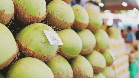 This artistic shot showcases fresh green coconuts stacked together in a vibrant market setting, highlighting their natural beauty and tropical essence.の素材