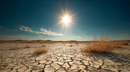 This image portrays a barren landscape with cracked earth and sparse vegetation under a bright sun, symbolizing drought conditions in arid environments.の素材