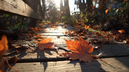 A tranquil autumn scene showcasing a wooden walkway covered with vibrant orange and brown leaves, illuminated by soft sunlight filtering through surrounding trees.の素材