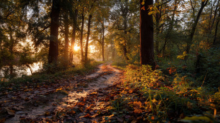 A tranquil forest pathway illuminated by golden sunlight during autumn, featuring colorful leaves scattered on the ground, evoking peace and beauty in nature.の素材