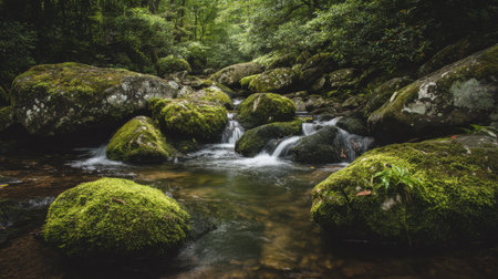 Discover the serene beauty of a tranquil stream flowing through a lush green forest, featuring moss-covered rocks and gentle waterfalls that enhance the peaceful atmosphere.の素材