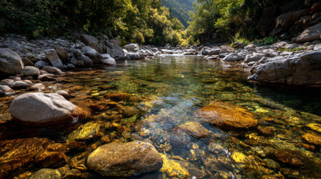 A serene stream flows through a rocky landscape, surrounded by vibrant greenery and smooth stones. The clear water reflects sunlight, inviting outdoor exploration.の素材
