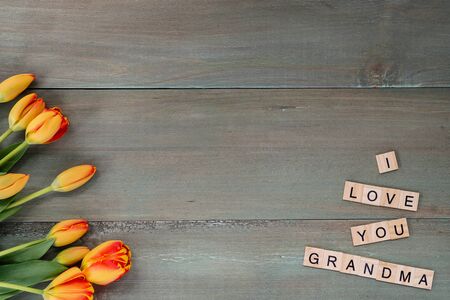 Colorful tulips on weathered green planks. Tile letters with sentiment for Mother's Day.の写真素材