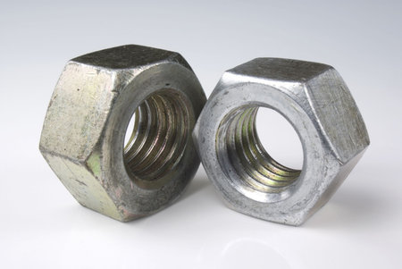 Two nuts isolated on a plain backgroundの写真素材