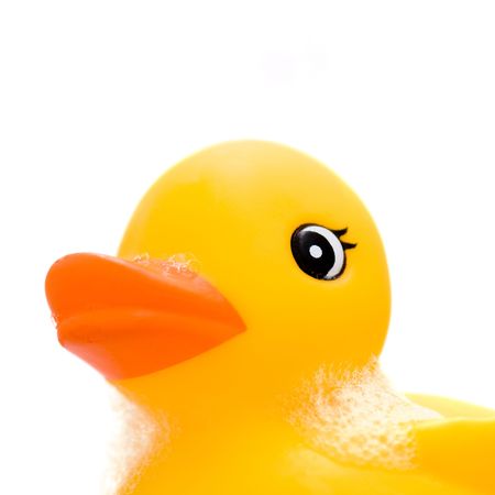 Close up shot of a rubber duck covered in bubble bath.の写真素材