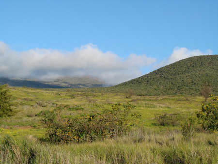 Waimea Ranchの写真素材