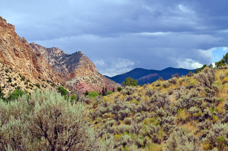 Navajo Cliffsの写真素材