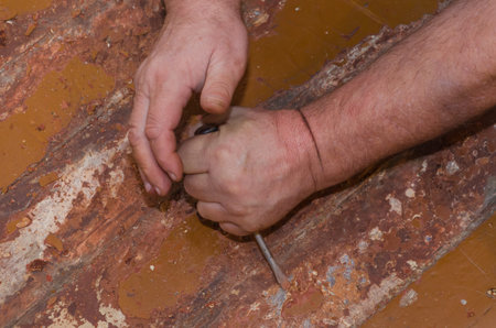 Strong working hands doing repairs. In the hands of a screwdriver. We rip off the paint off the...