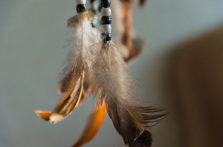 Feather in waterの写真素材