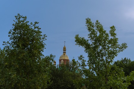 Beyond the branches of the trees there is a golden cross on the dome of the church.の写真素材