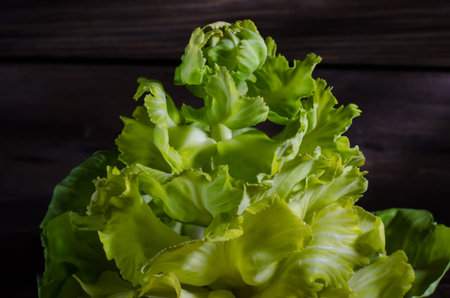 Decorative cabbage flower on a wooden background with interesting backlighting.