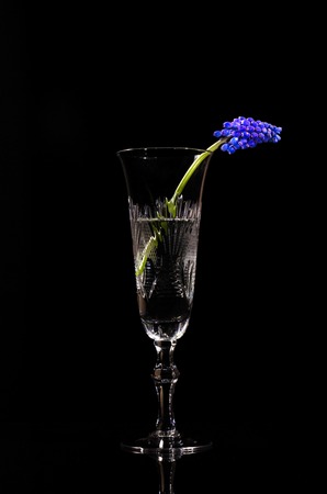Blue bouquet of wild flowers in a glass on an isolated black background.の写真素材