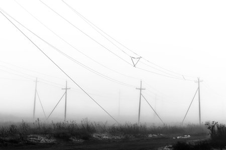 Fog and diverse nature in black and white photographs