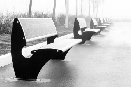 Fog and diverse nature in black and white photographsの写真素材