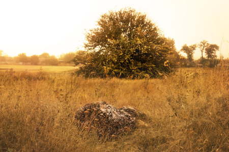 Diverse landscapes with different compositions.の写真素材