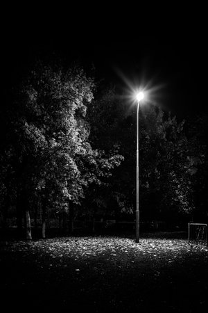 Night park in black and white.の写真素材