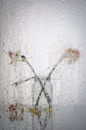 Dried yellow flowers in the light.の写真素材