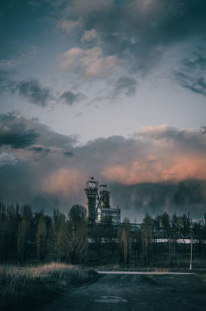 A tree against the backdrop of a beautiful sunset sky in our nature.の写真素材