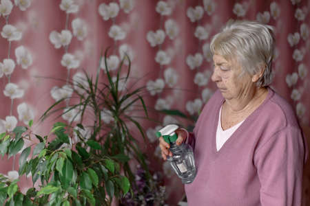 Grandma takes care of her flowers at home.の写真素材