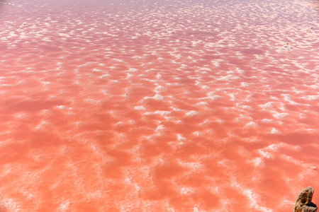 A unique rare natural phenomenon. Salt lake with pink algae. beautiful scenery.